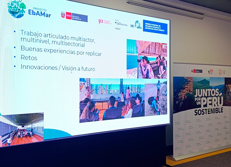 pantallas de led para eventos